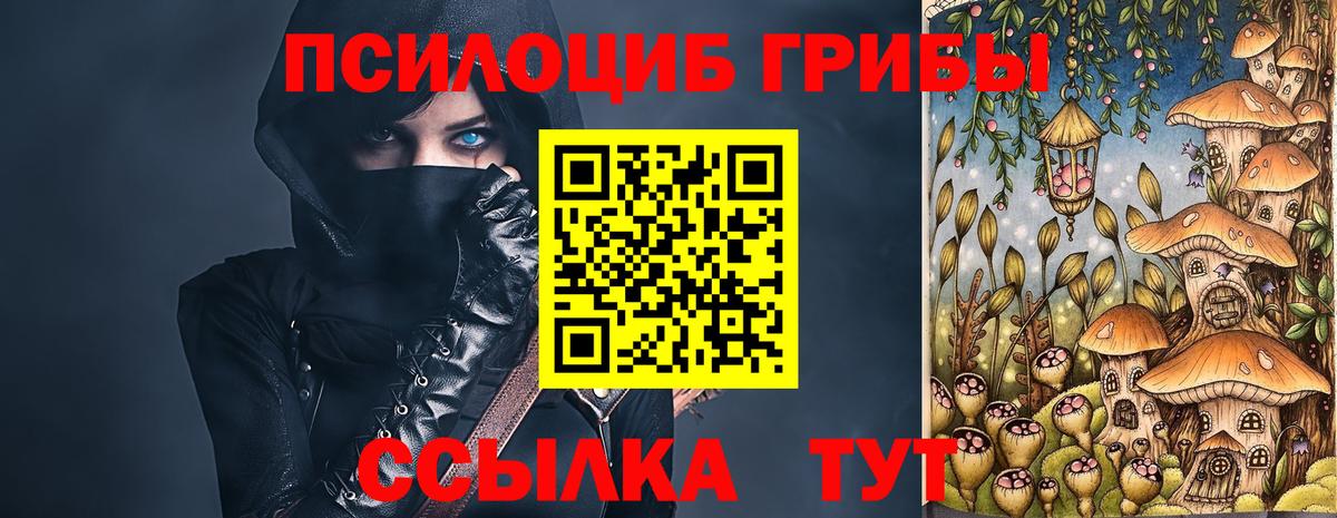 Псилоцибиновые грибы Psilocybe  Псилоцибиновые грибы ЛСД  Невинномысск  Вход с VPN 